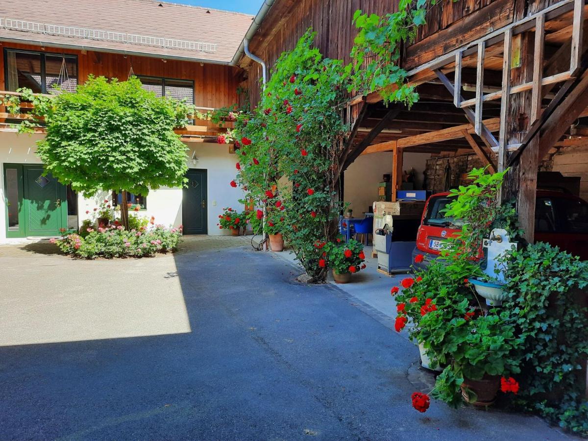 Loft-Like Apartment In Scheibbs With Swimming Pond ภายนอก รูปภาพ