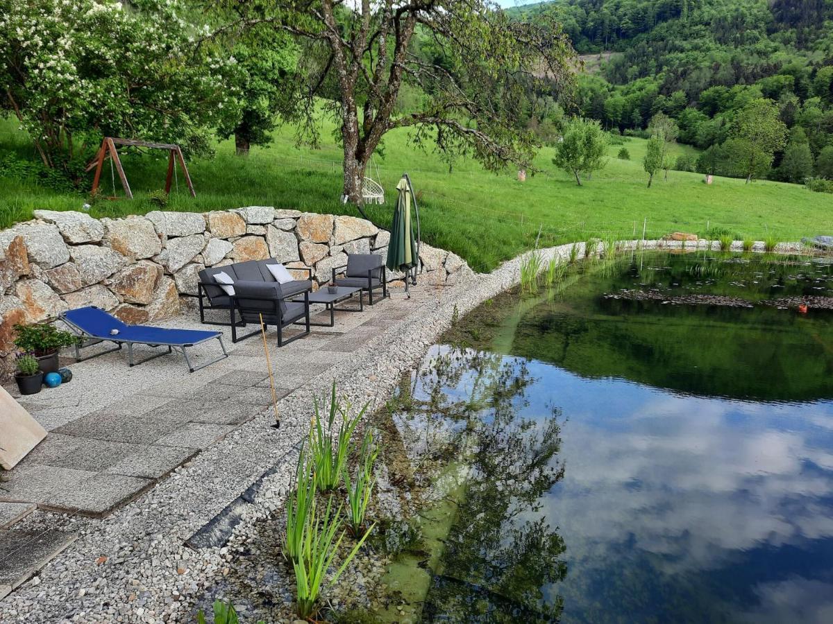 Loft-Like Apartment In Scheibbs With Swimming Pond ภายนอก รูปภาพ